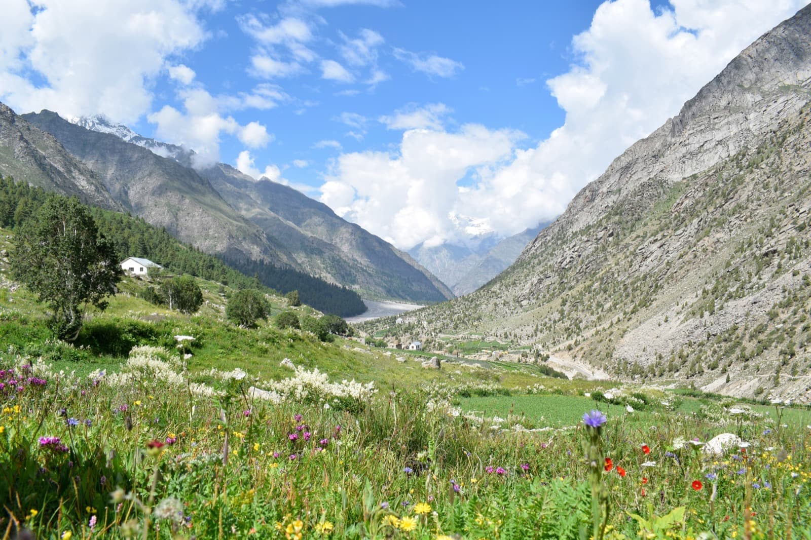 Miyar Valley Trek