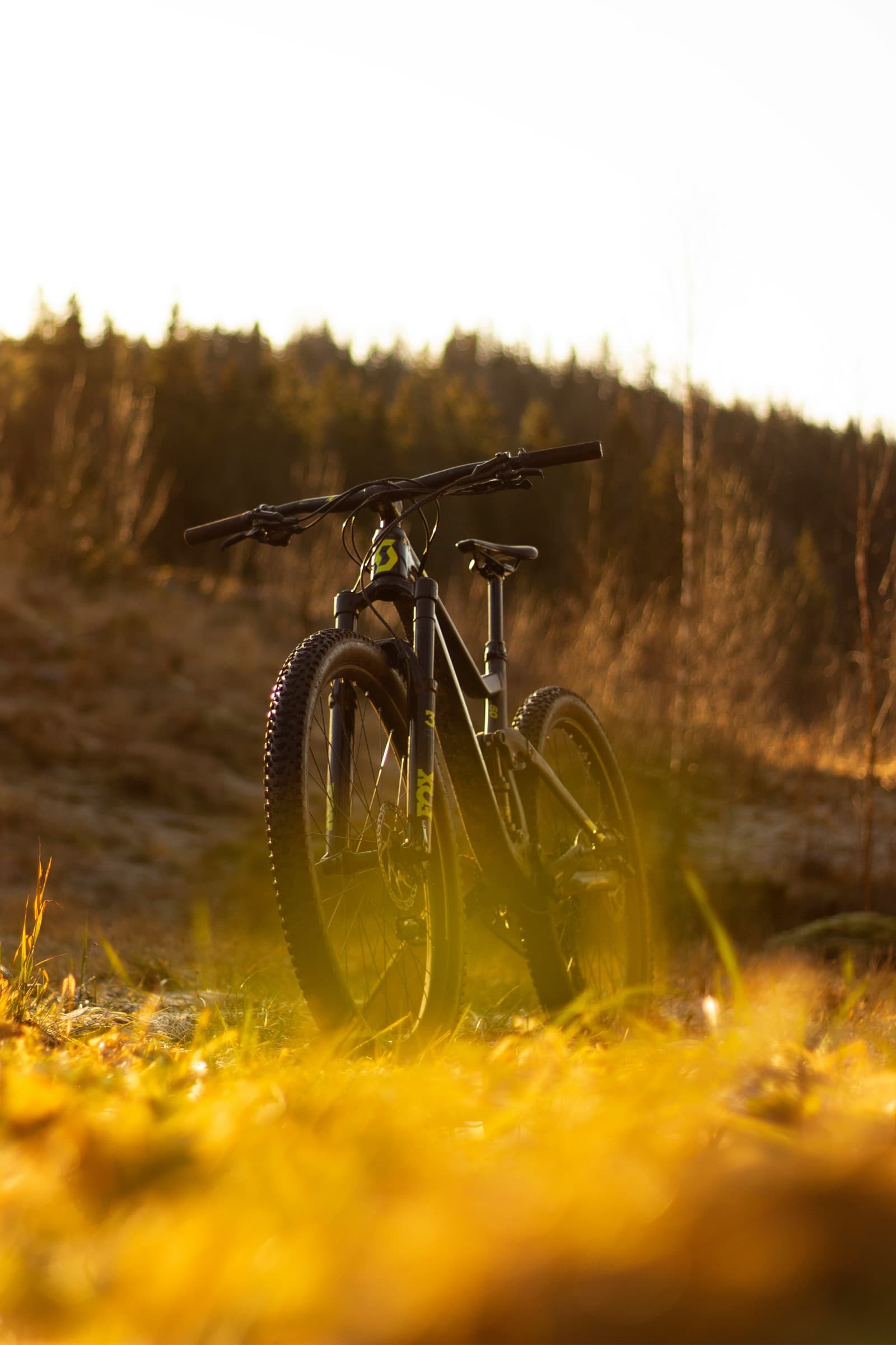 Mountain Bike Introduction Course