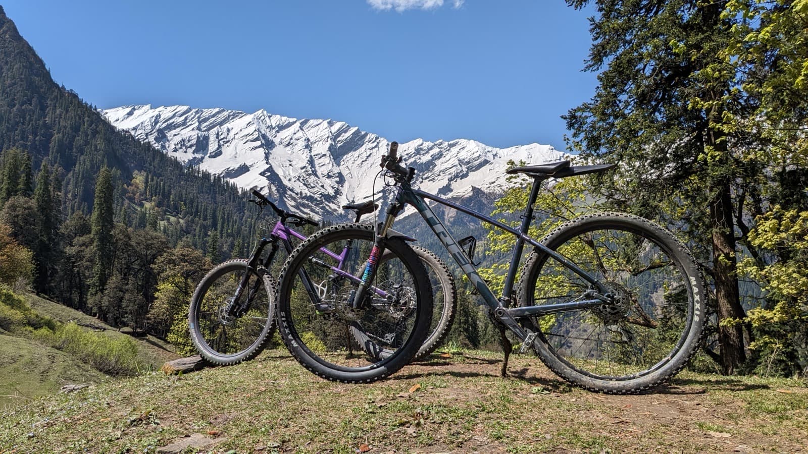 Mountain Bike Trails