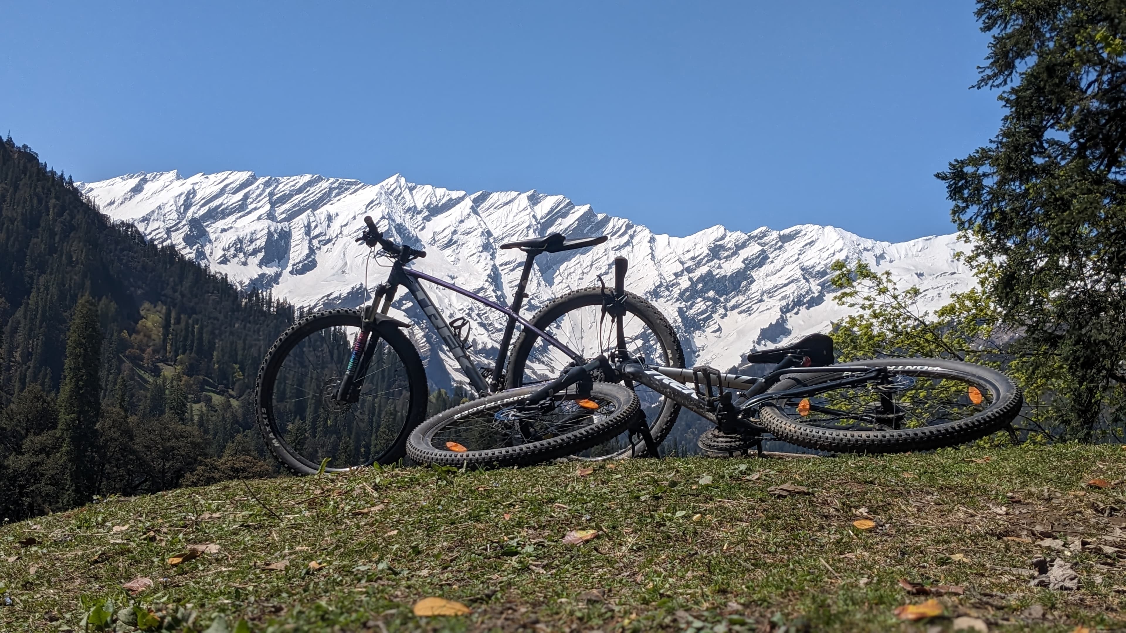 Mountain Bike Introduction Course