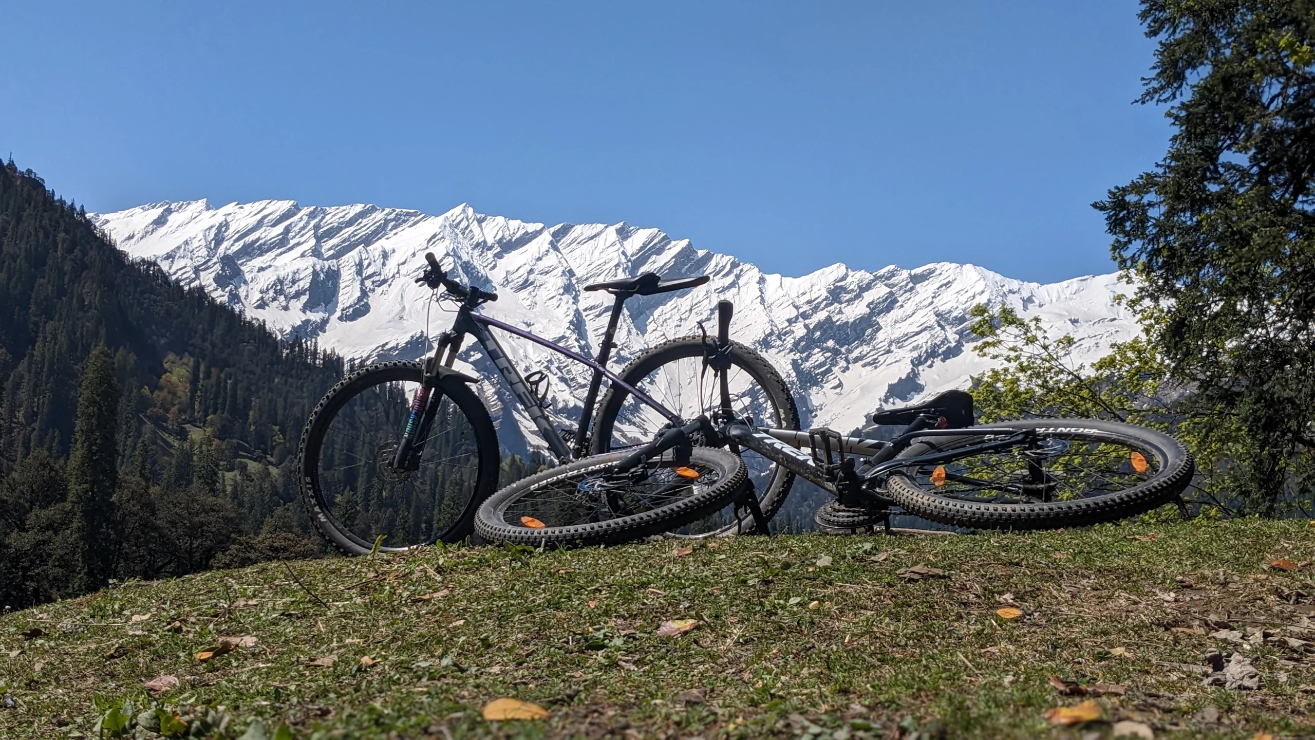 Mountain Bike Introduction